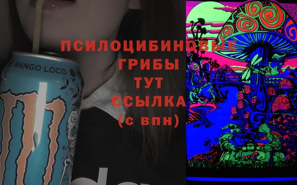 apvp Лиски